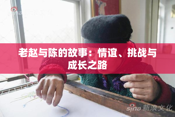 老赵与陈的故事：情谊、挑战与成长之路