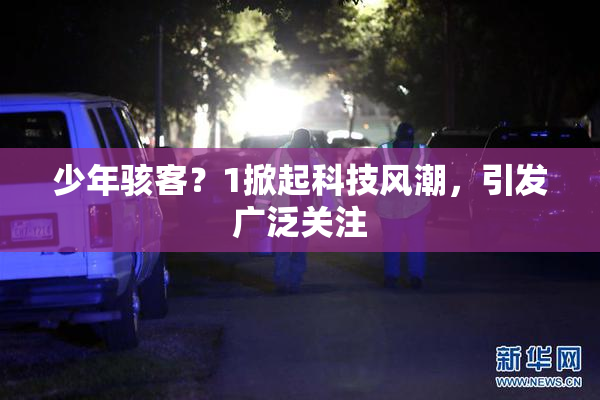 少年骇客？1掀起科技风潮，引发广泛关注