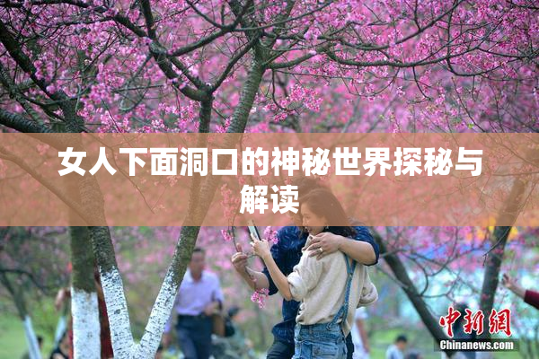 女人下面洞口的神秘世界探秘与解读