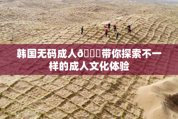 韩国无码成人🔞带你探索不一样的成人文化体验