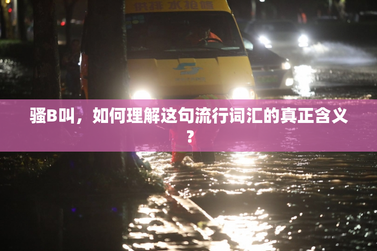 骚B叫，如何理解这句流行词汇的真正含义？