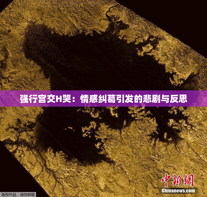 强行宫交H哭：情感纠葛引发的悲剧与反思