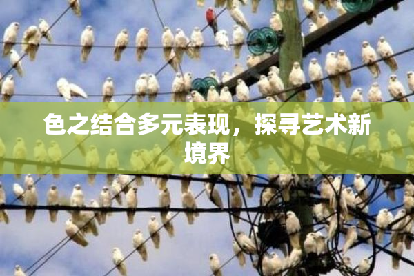 色之结合多元表现，探寻艺术新境界