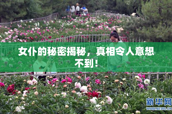 女仆的秘密揭秘，真相令人意想不到！