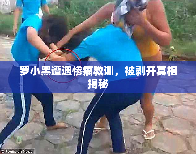 罗小黑遭遇惨痛教训，被剥开真相揭秘
