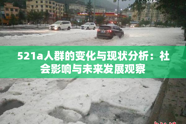521a人群的变化与现状分析：社会影响与未来发展观察