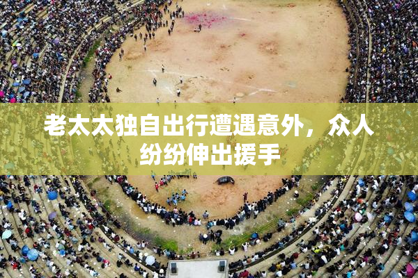 老太太独自出行遭遇意外，众人纷纷伸出援手