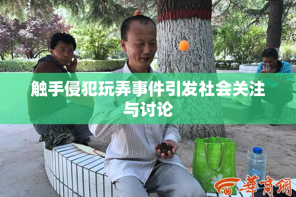 触手侵犯玩弄事件引发社会关注与讨论