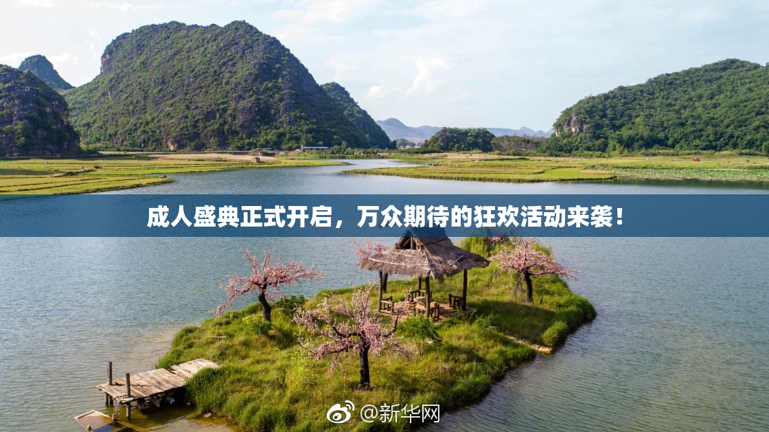 成人盛典正式开启，万众期待的狂欢活动来袭！