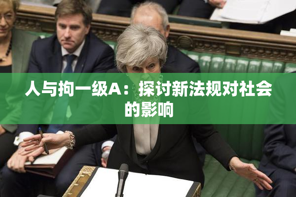 人与拘一级A：探讨新法规对社会的影响