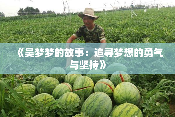 《吴梦梦的故事：追寻梦想的勇气与坚持》