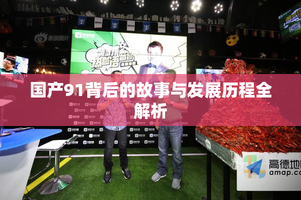 国产91背后的故事与发展历程全解析