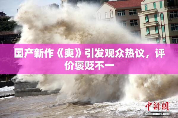 国产新作《爽》引发观众热议，评价褒贬不一