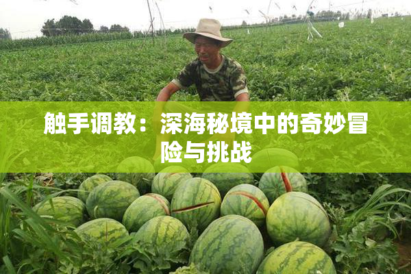 触手调教：深海秘境中的奇妙冒险与挑战