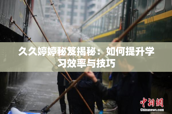久久婷婷秘笈揭秘：如何提升学习效率与技巧