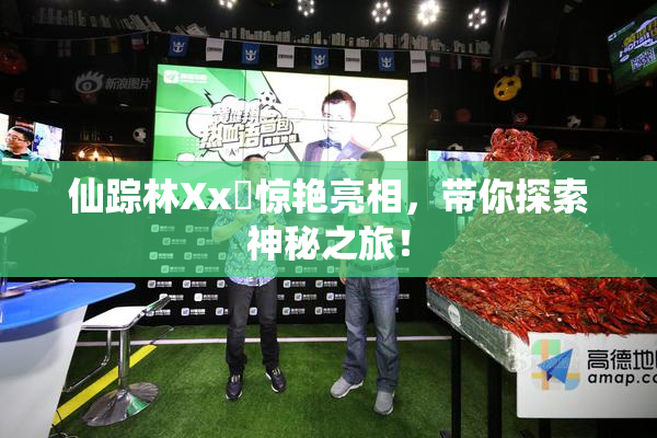 仙踪林Xx乂惊艳亮相，带你探索神秘之旅！