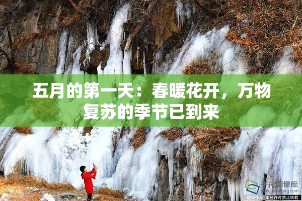 五月的第一天：春暖花开，万物复苏的季节已到来