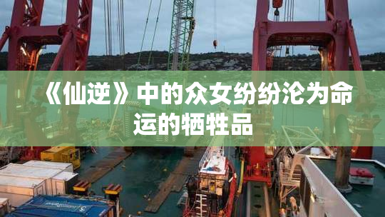 《仙逆》中的众女纷纷沦为命运的牺牲品
