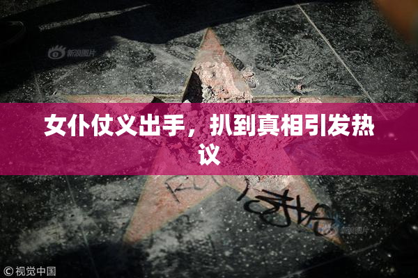 女仆仗义出手，扒到真相引发热议