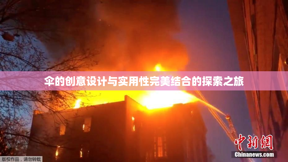 伞的创意设计与实用性完美结合的探索之旅