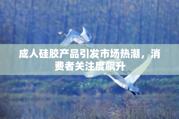 成人硅胶产品引发市场热潮，消费者关注度飙升