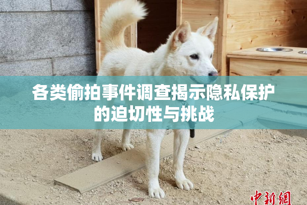 各类偷拍事件调查揭示隐私保护的迫切性与挑战