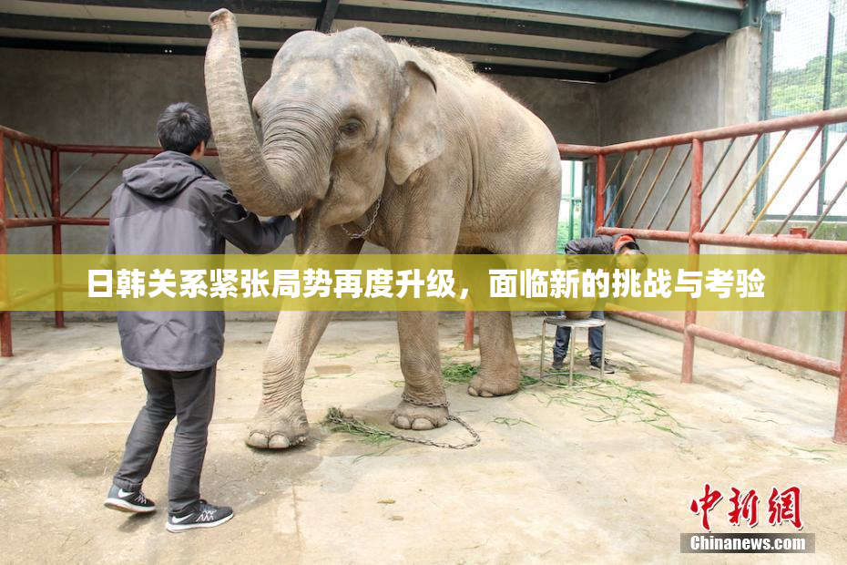 日韩关系紧张局势再度升级，面临新的挑战与考验