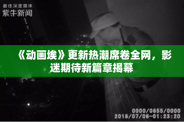 《动画埃》更新热潮席卷全网，影迷期待新篇章揭幕