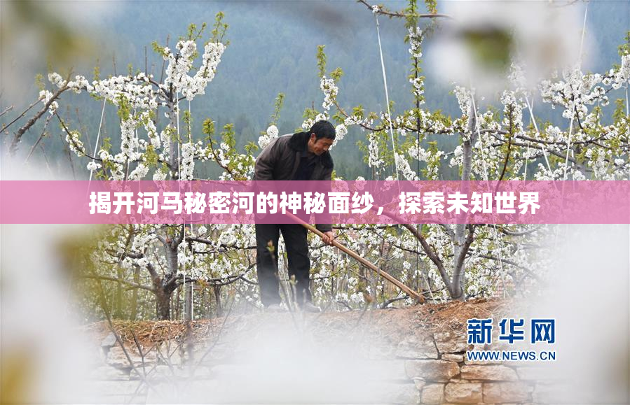 揭开河马秘密河的神秘面纱，探索未知世界