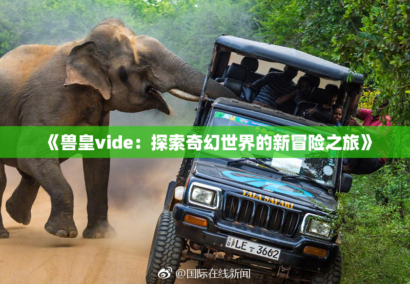 《兽皇vide：探索奇幻世界的新冒险之旅》