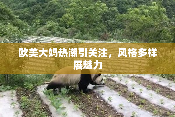 欧美大妈热潮引关注，风格多样展魅力