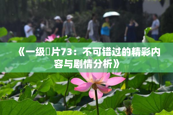 《一级婬片73：不可错过的精彩内容与剧情分析》