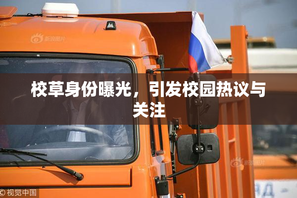 校草身份曝光，引发校园热议与关注
