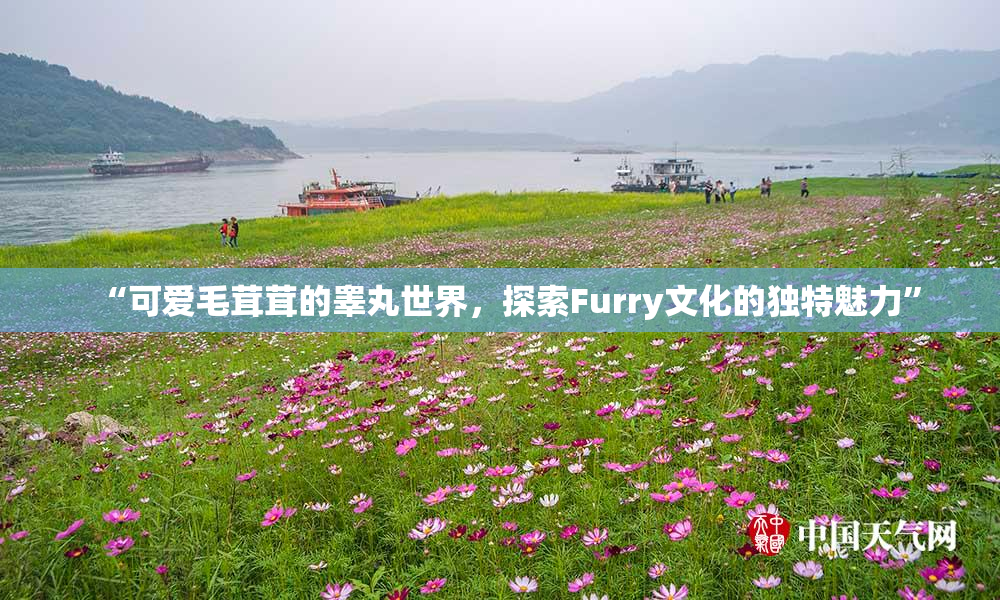 “可爱毛茸茸的睾丸世界，探索Furry文化的独特魅力”
