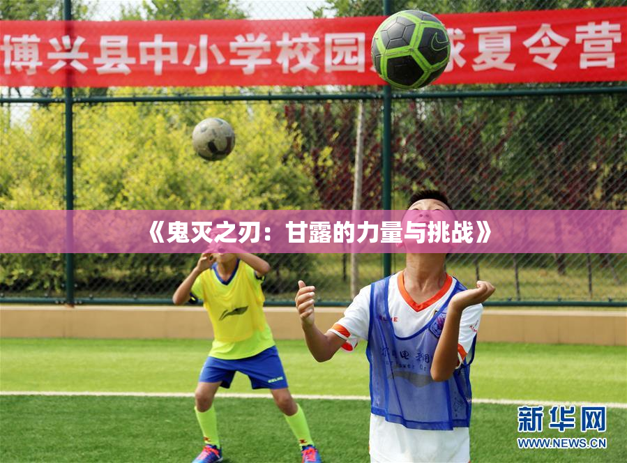 《鬼灭之刃：甘露的力量与挑战》