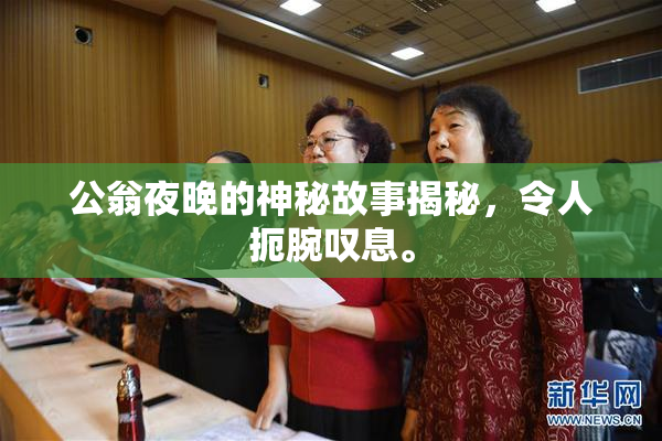公翁夜晚的神秘故事揭秘，令人扼腕叹息。