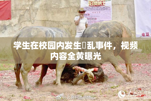 学生在校园内发生婬乱事件，视频内容全黄曝光