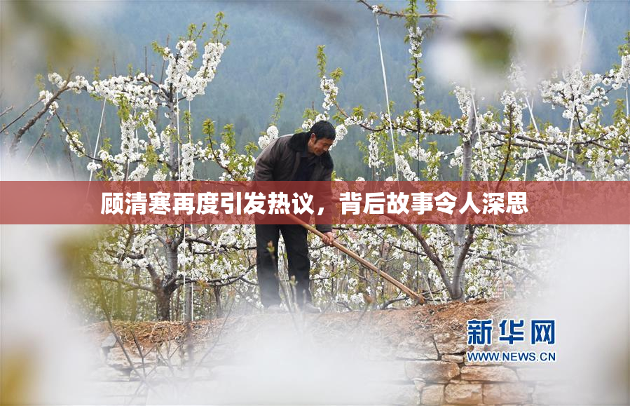 顾清寒再度引发热议，背后故事令人深思