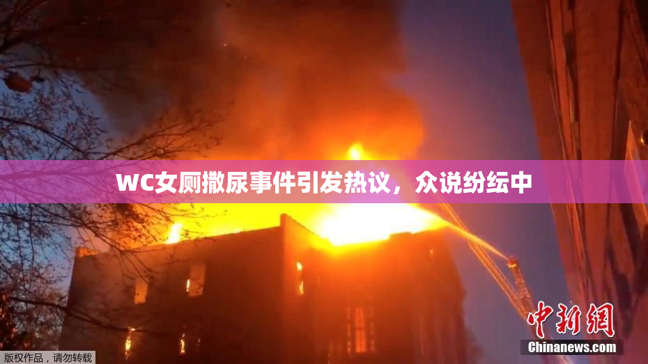 WC女厕撒尿事件引发热议，众说纷纭中