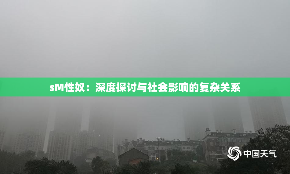 sM性奴：深度探讨与社会影响的复杂关系