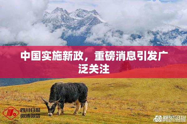 中国实施新政，重磅消息引发广泛关注