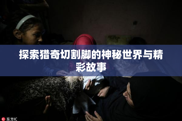 探索猎奇切割脚的神秘世界与精彩故事