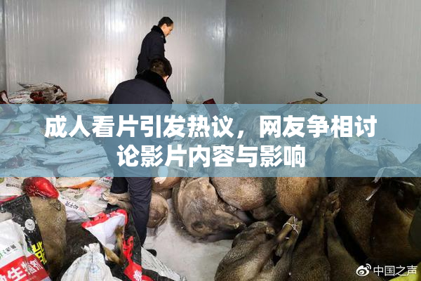 成人看片引发热议，网友争相讨论影片内容与影响