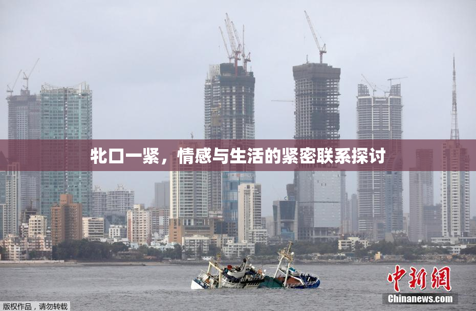 牝口一紧，情感与生活的紧密联系探讨