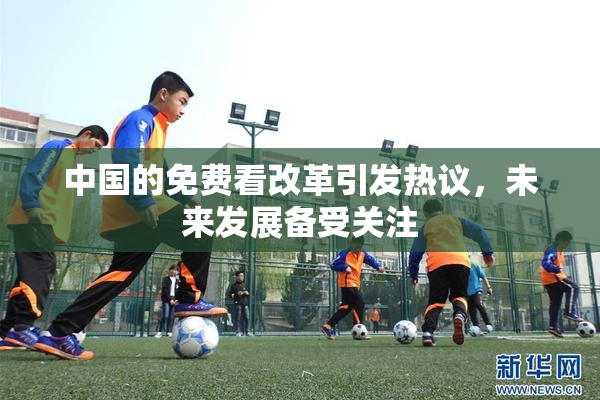 中国的免费看改革引发热议，未来发展备受关注