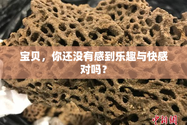 宝贝，你还没有感到乐趣与快感对吗？