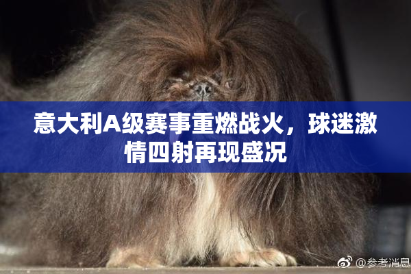 意大利A级赛事重燃战火，球迷激情四射再现盛况