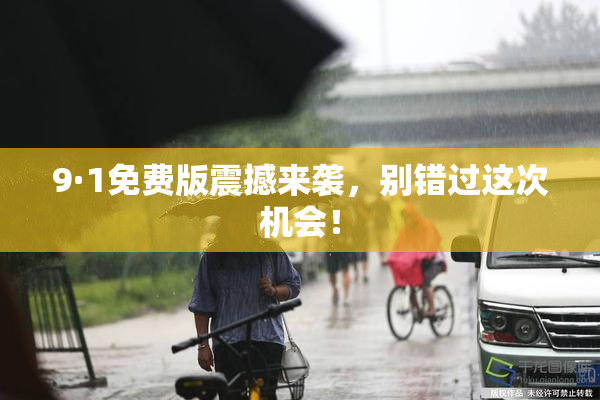 9·1免费版震撼来袭，别错过这次机会！