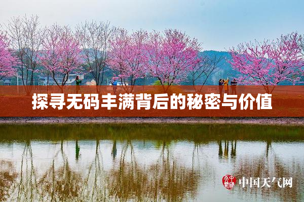 探寻无码丰满背后的秘密与价值