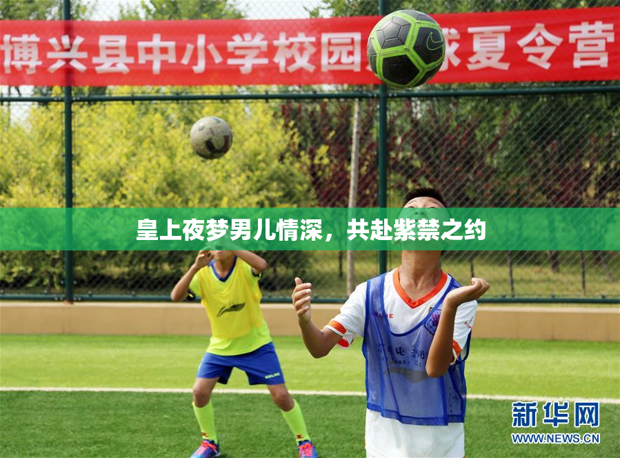 皇上夜梦男儿情深，共赴紫禁之约